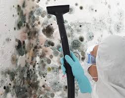 Best Industrial Mold Remediation in USA